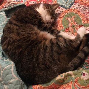 Meet your Posher, Sara